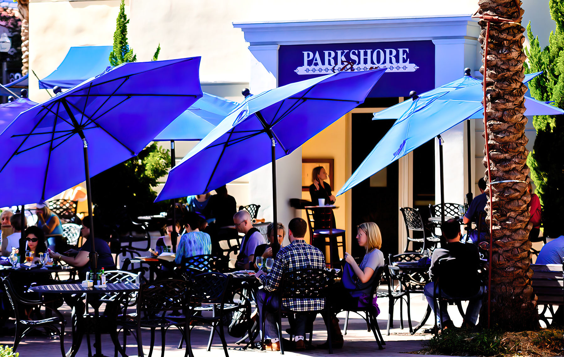 Parkshore Grill at Beach Drive Northeast, St. Petersburg, FL: A Comprehensive Guide